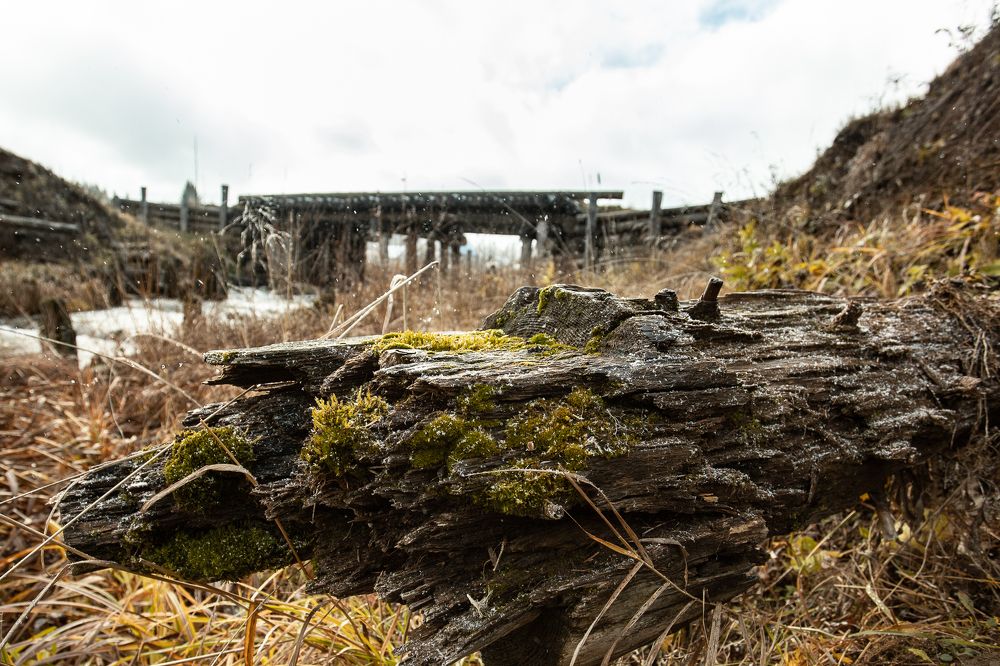 Photograph by Ирина Кооль