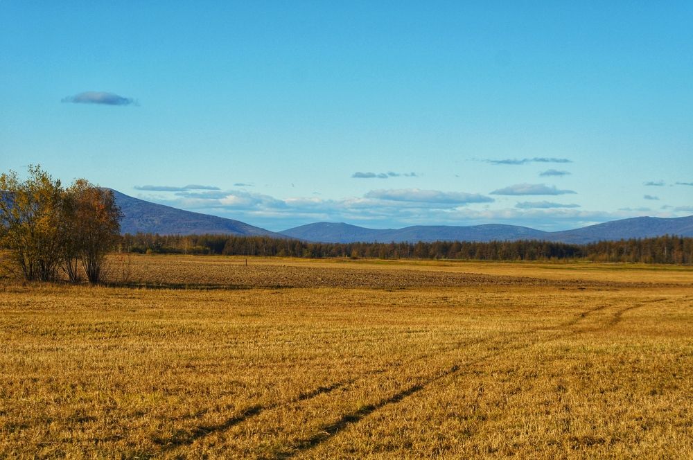 Photograph by Дудко Анна