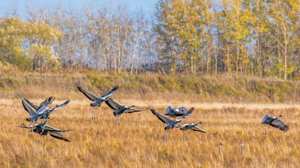 Photograph by константин