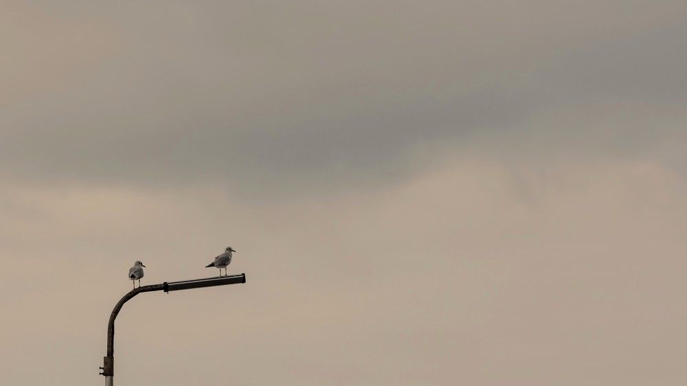 Photograph by константин