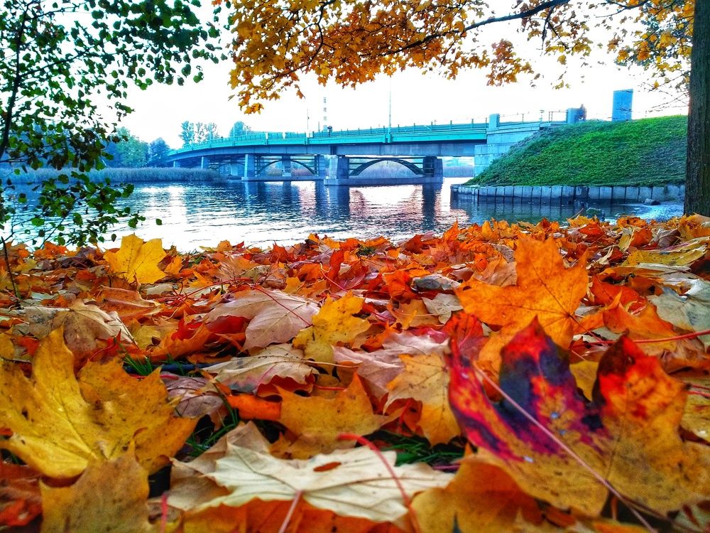 Фотография автора Марина Алексеевская