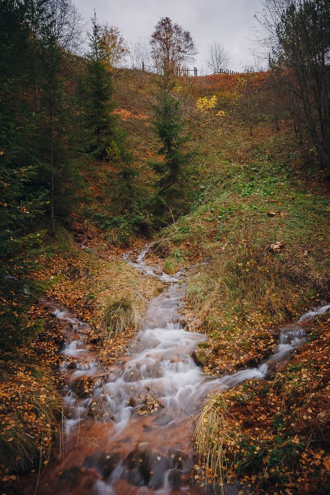 Photograph by Ирина Кооль