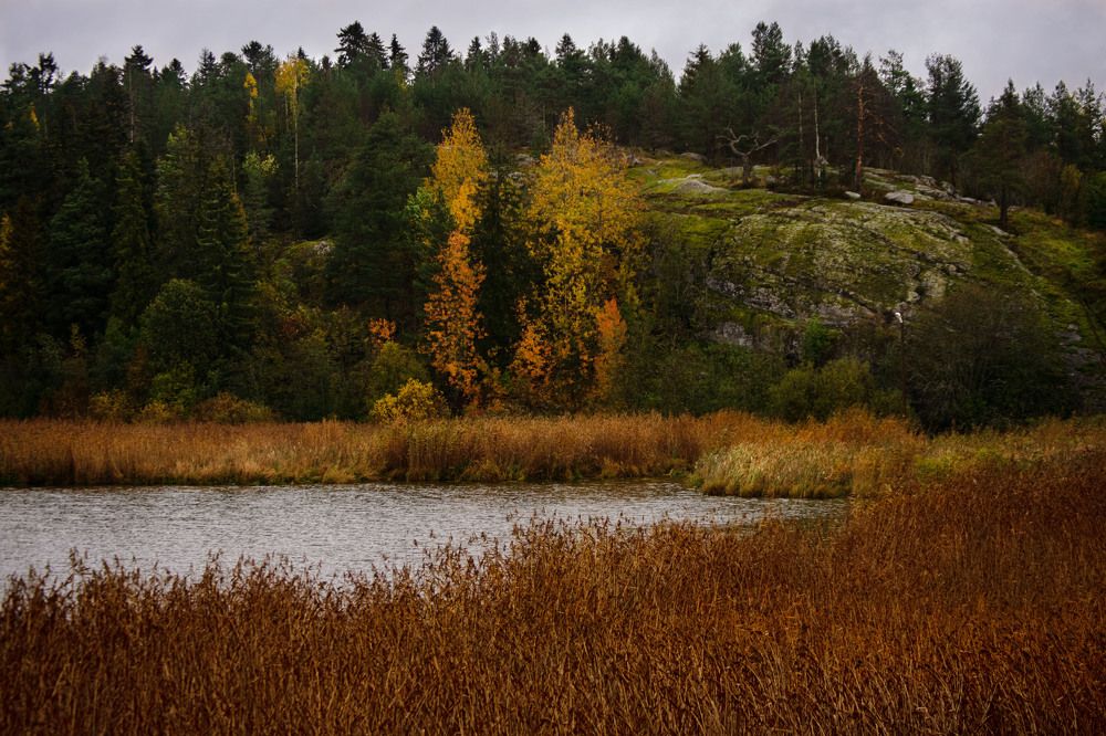 Photograph by Наталья Зверева