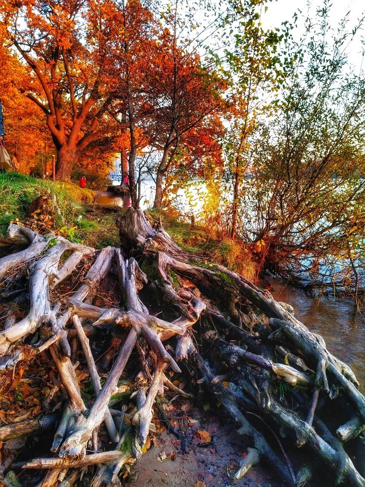 Photograph by Марина Колесник