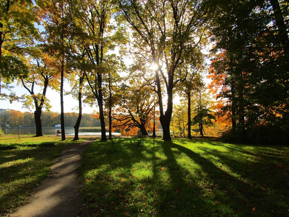 Photograph by Татьяна Смирнова