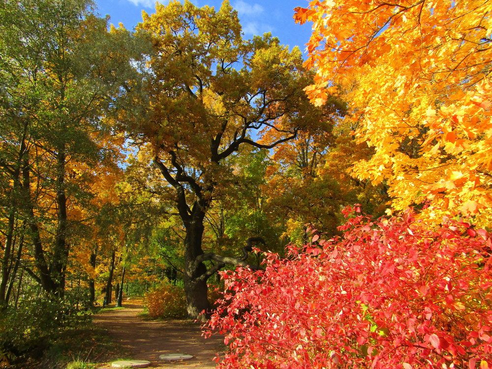 Photograph by Татьяна Смирнова