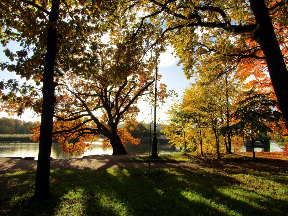 Photograph by Татьяна Смирнова