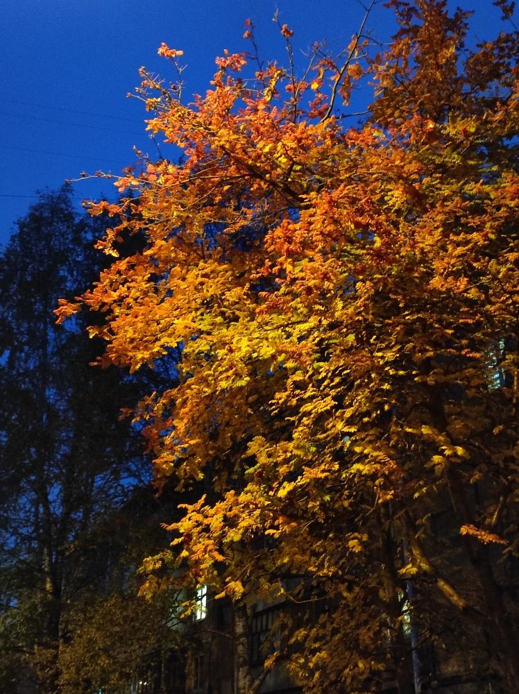 Photograph by Татьяна Никулина