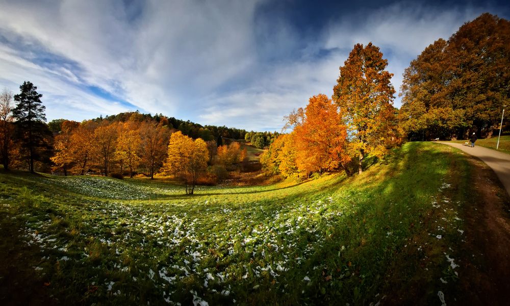 Photograph by Игорь Овсиенко