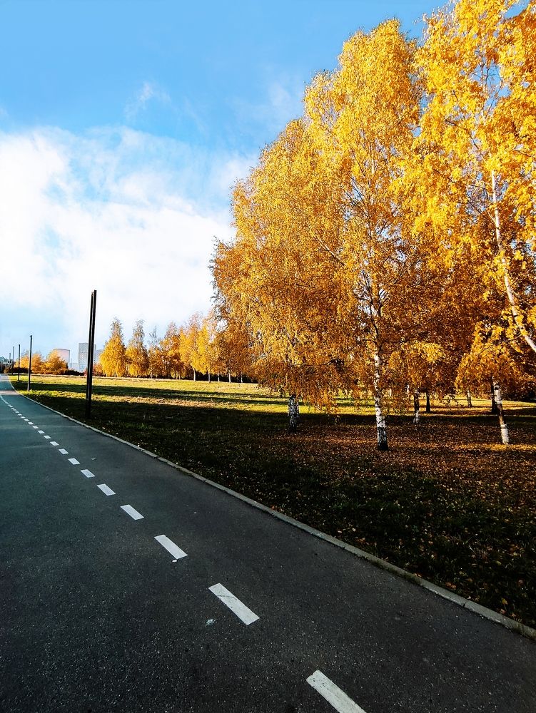 Photograph by DARIA DEMINA