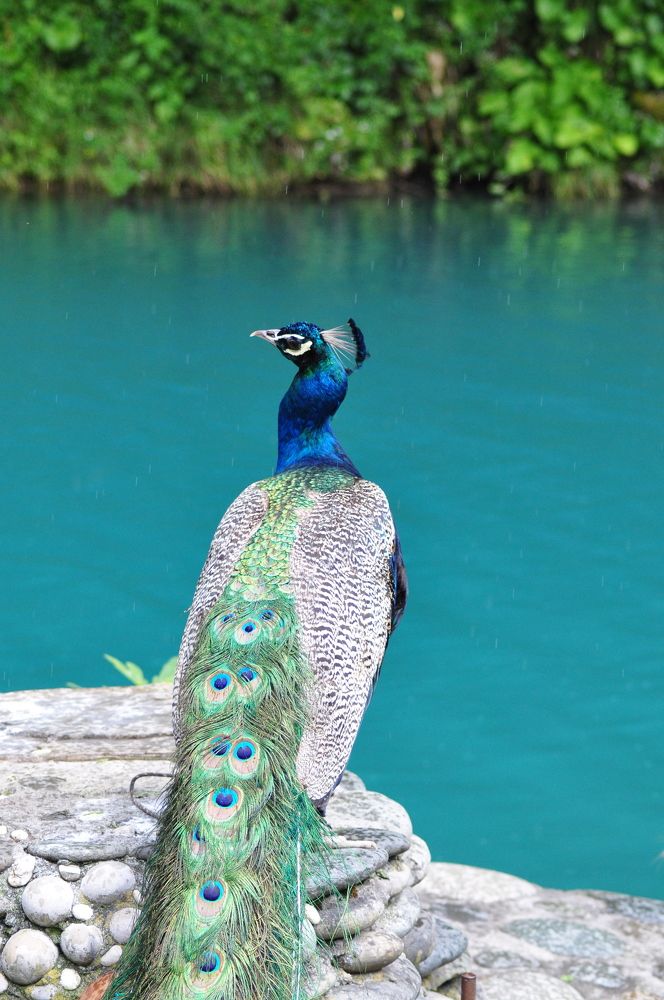 Photograph by Анастасия Тазиева