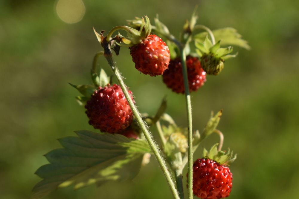 Photograph by Ольга