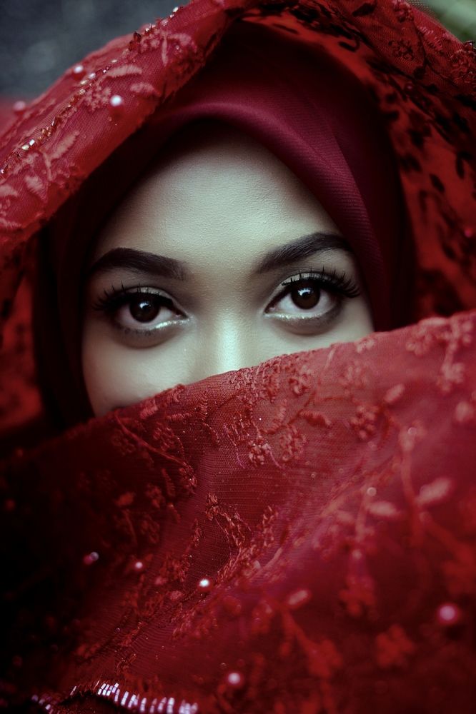 Фотография автора Lasko