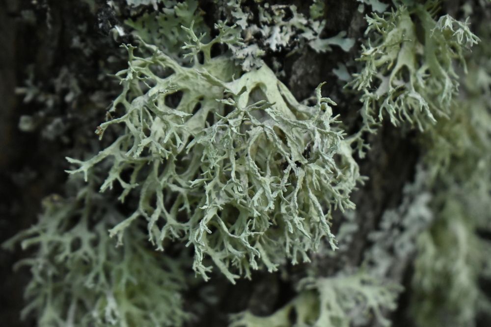 Photograph by Ольга