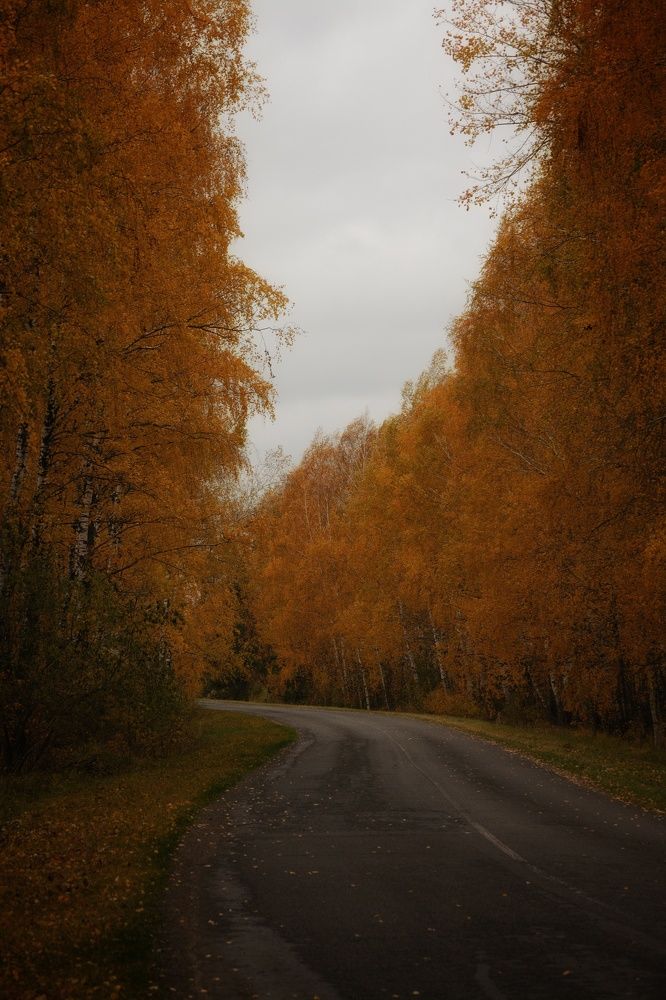 Photograph by Сергей Симаков