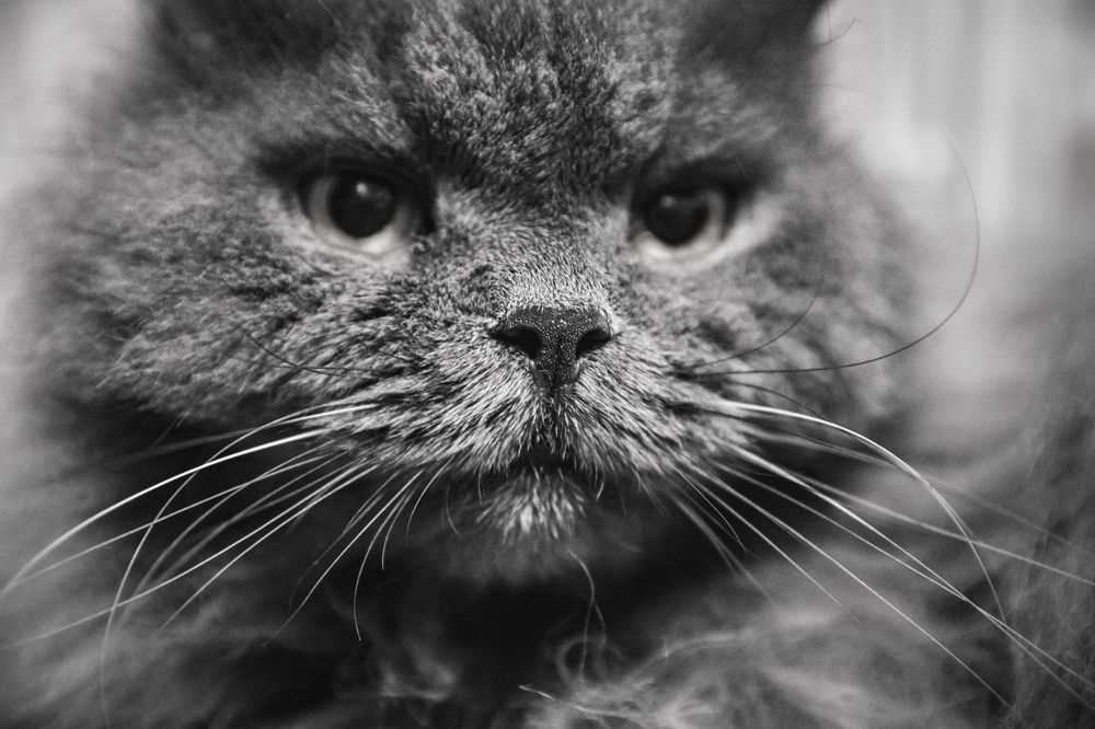 Photograph by Антон Гаврилов