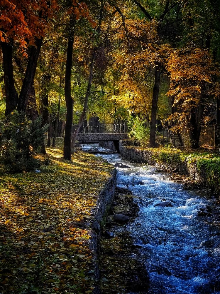 Photograph by Сергей Пермин