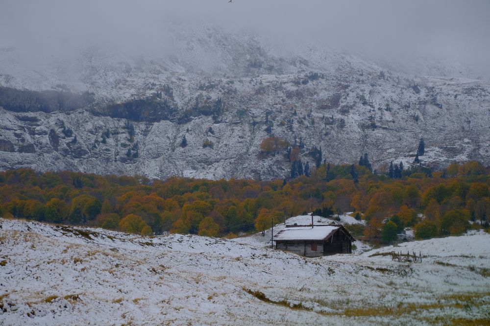 Photograph by Zakaria chelidze