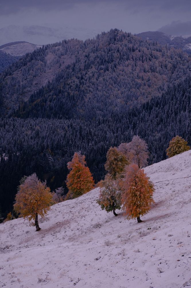 Photograph by Zakaria chelidze