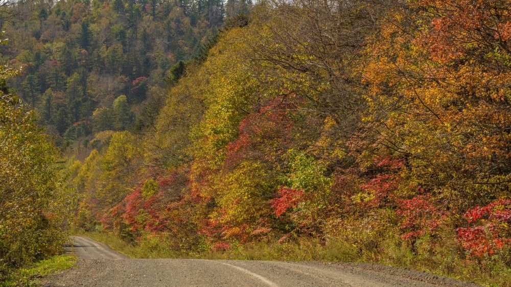 Photograph by константин