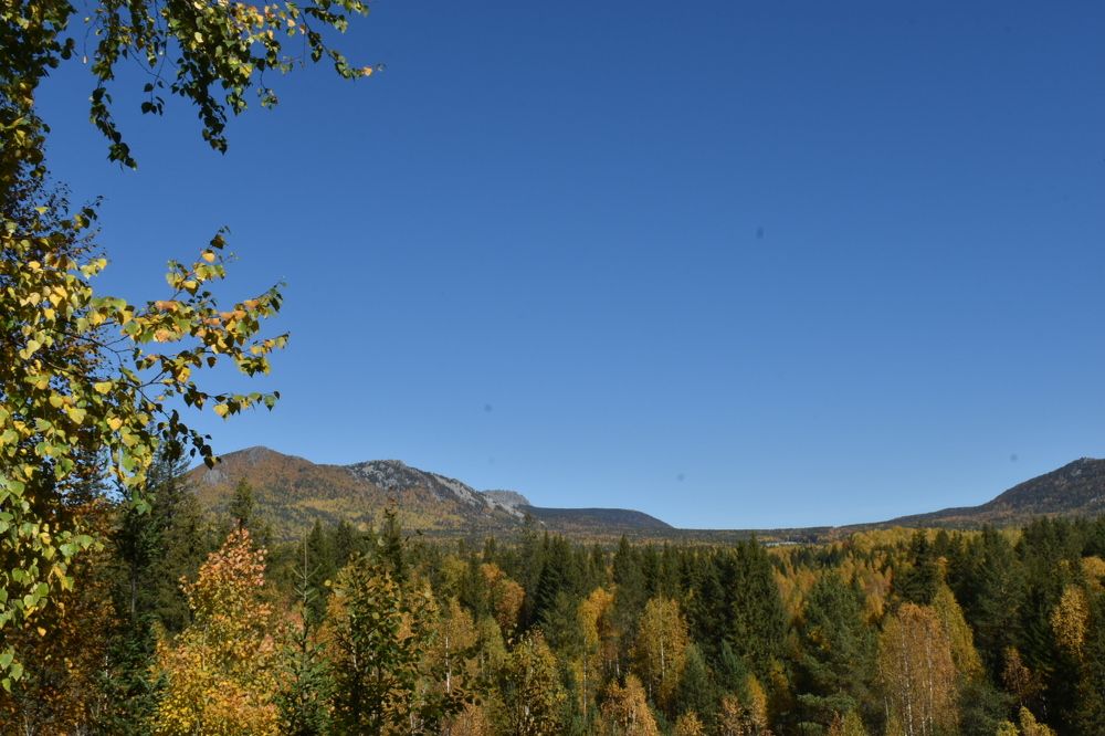 Photograph by Ольга