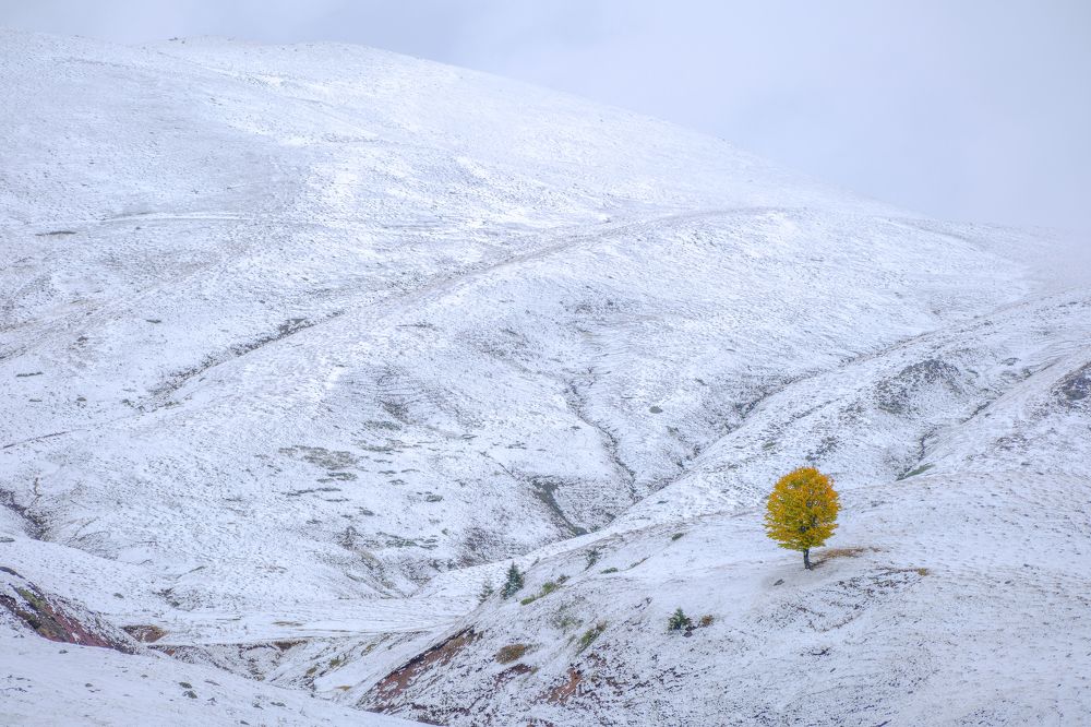 Photograph by Zakaria chelidze