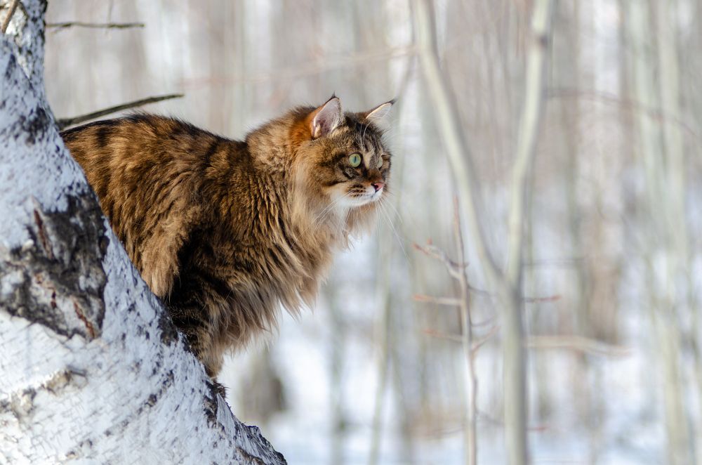 Photograph by Алексей