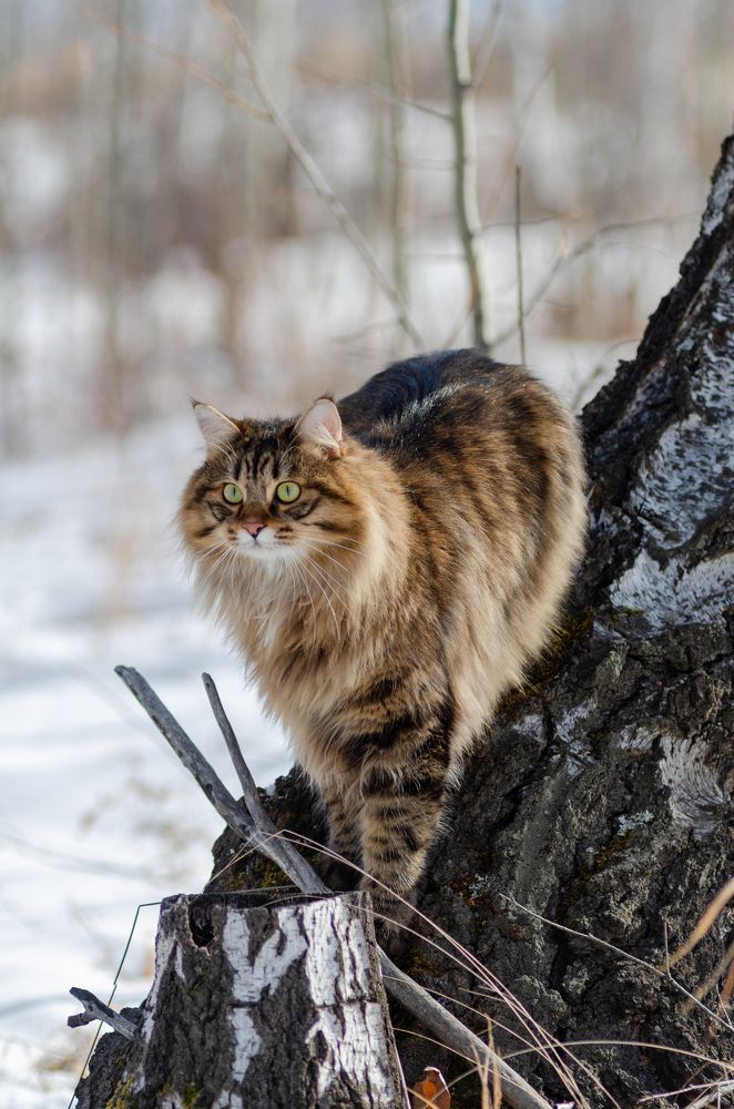 Photograph by Алексей