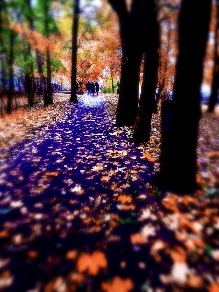 Photograph by Алексей Чернов