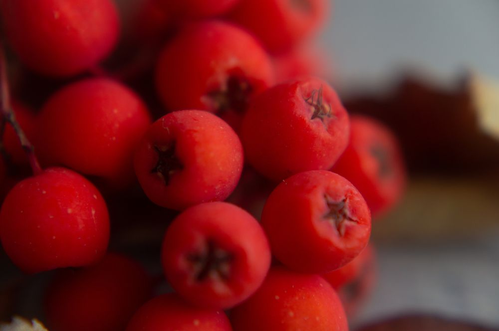 Photograph by Светлана Нестерова