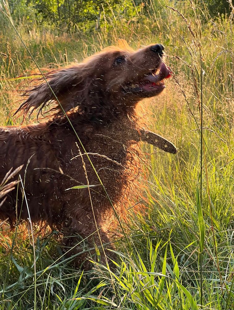 Photograph by Евгения/303284