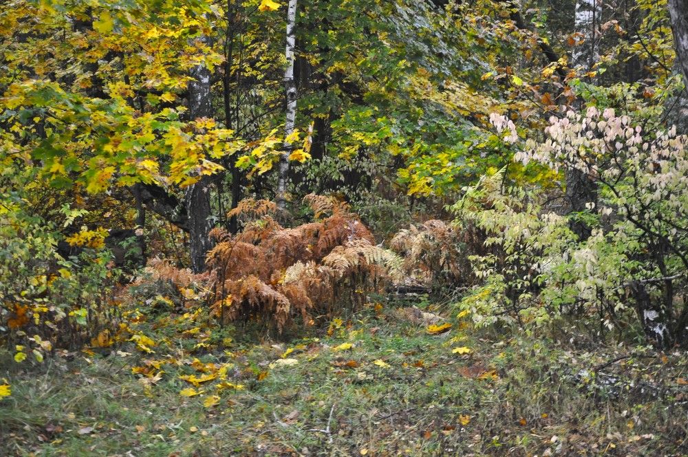 Photograph by Ольга Струкалина