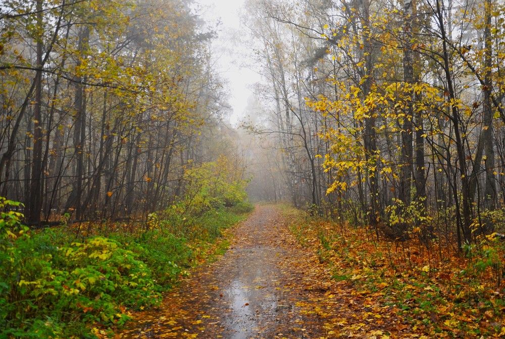 Photograph by Ольга Струкалина