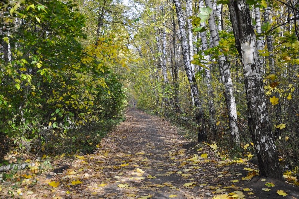 Photograph by Ольга Струкалина