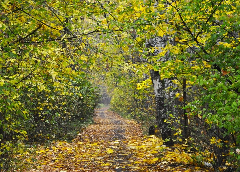 Photograph by Ольга Струкалина