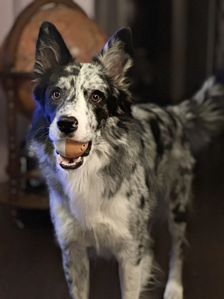 Фотография автора Наталья Старикова