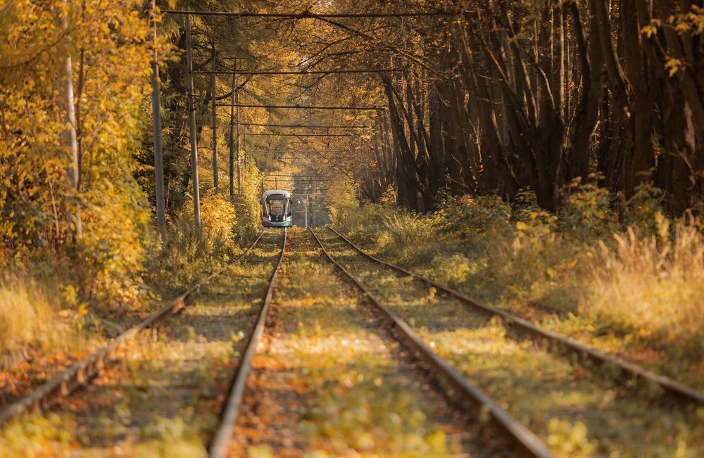 Photograph by Ольга Гаврилова