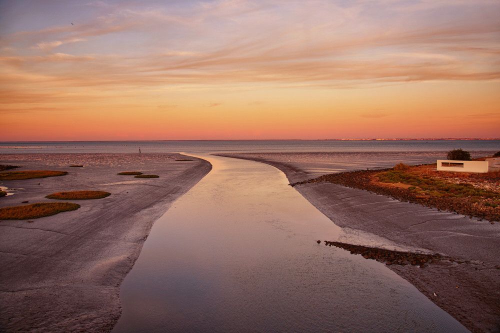 Photograph by Mário C.