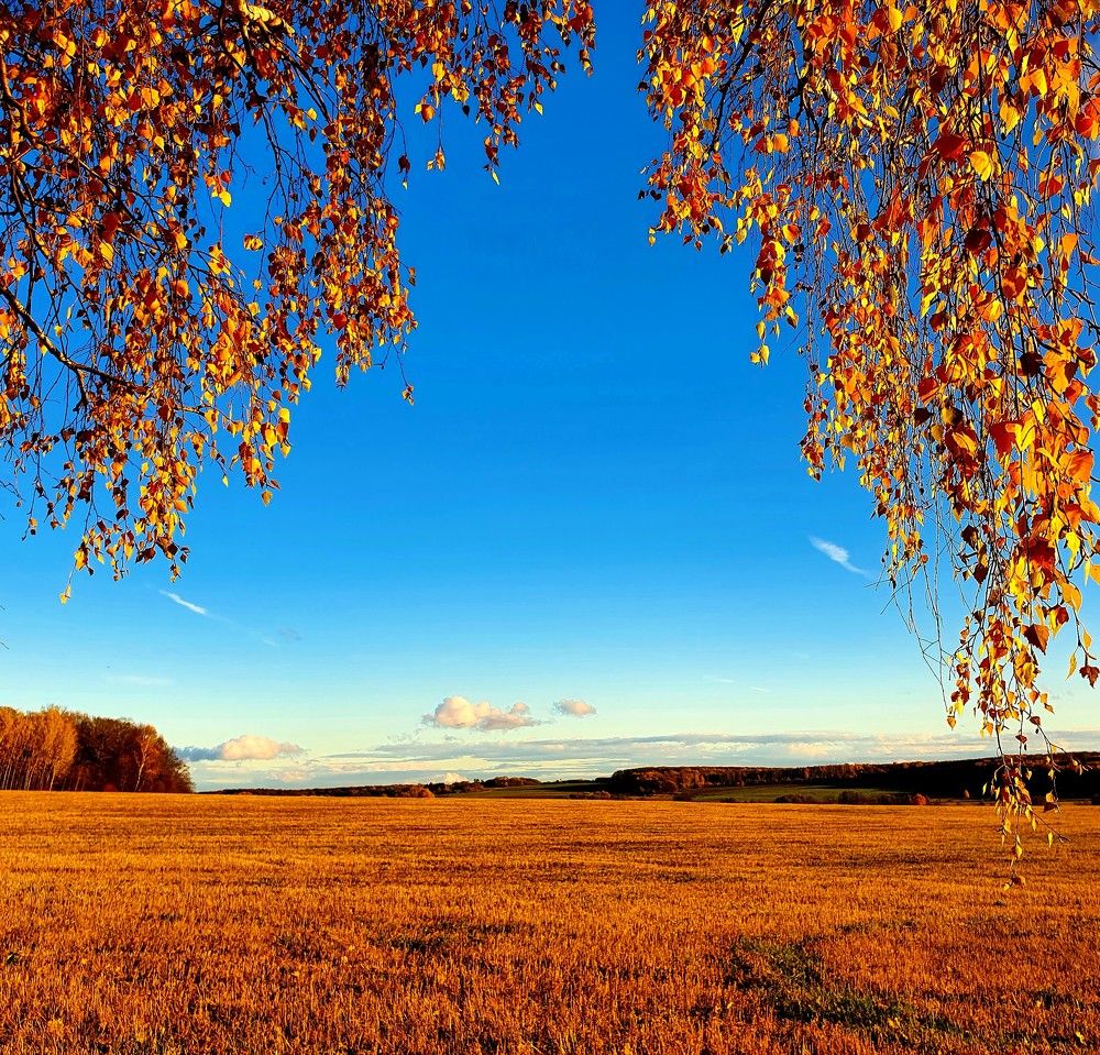 Photograph by Яна Галимуллина