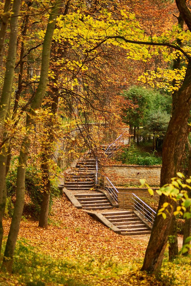 Photograph by Руфат Лажанский