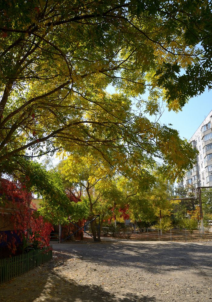 Фотография автора Aleksei Batiukov