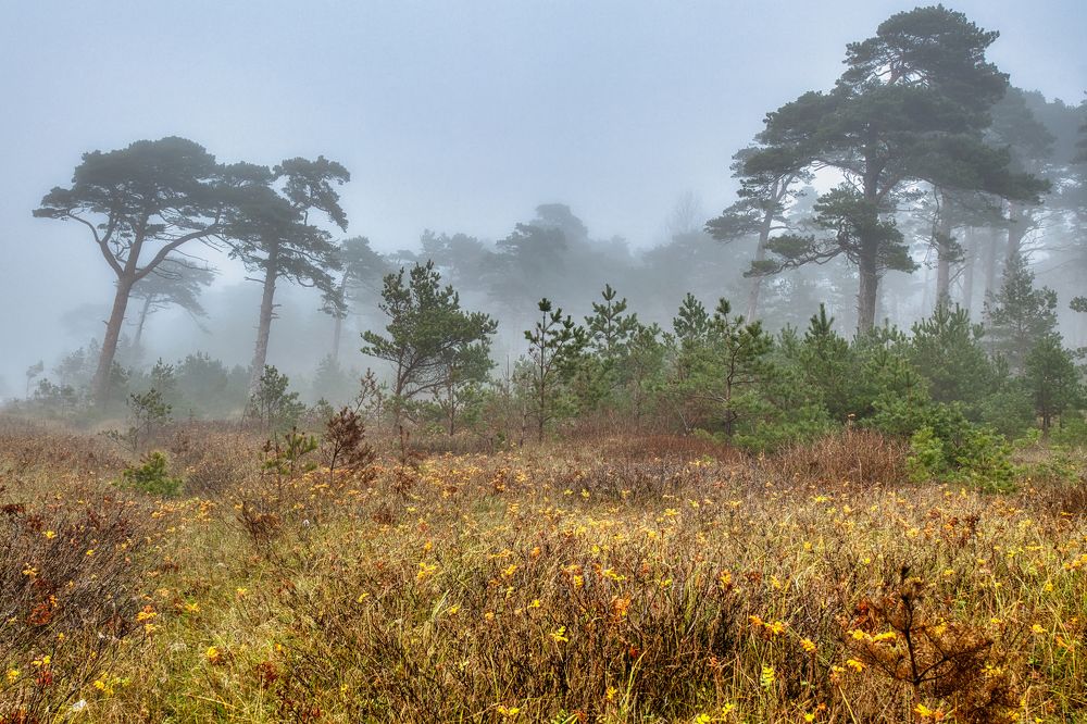 Photograph by Janis Serdienis