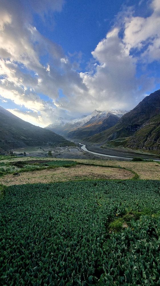 Photograph by Bragadeesh R