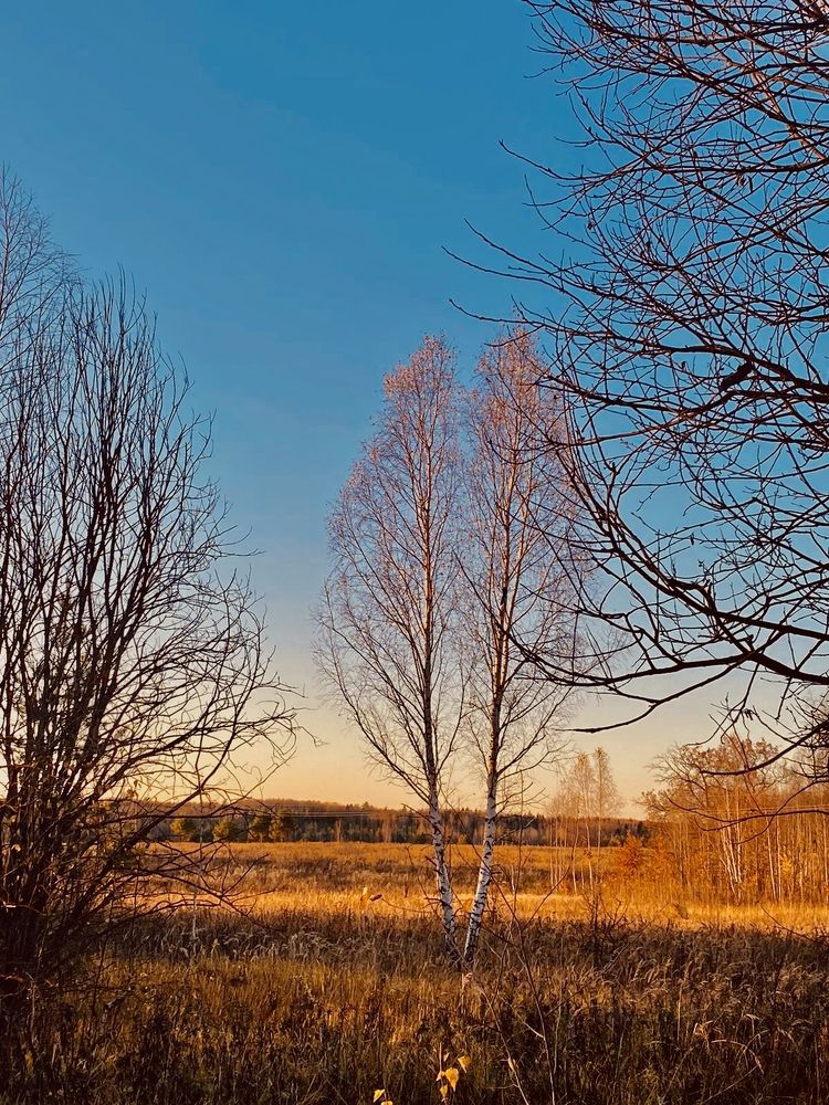 Photograph by Юлия