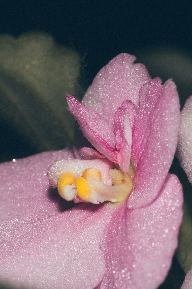 Фотография автора Николай Гришин