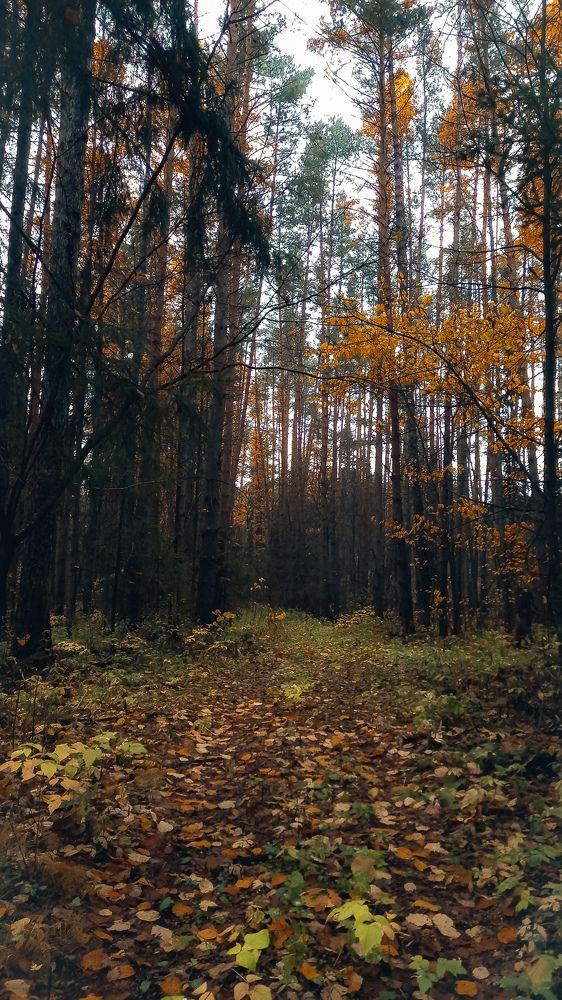 Photograph by Альбина Муртазина