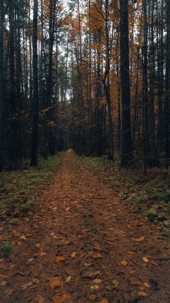 Photograph by Альбина Муртазина