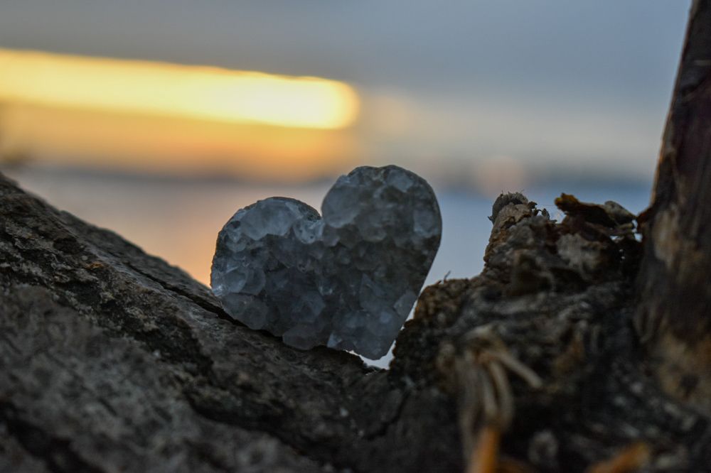 Photograph by Ольга