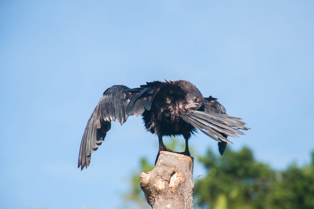 Photograph by Chamara Sulakkhana Polwatta Siriyalage