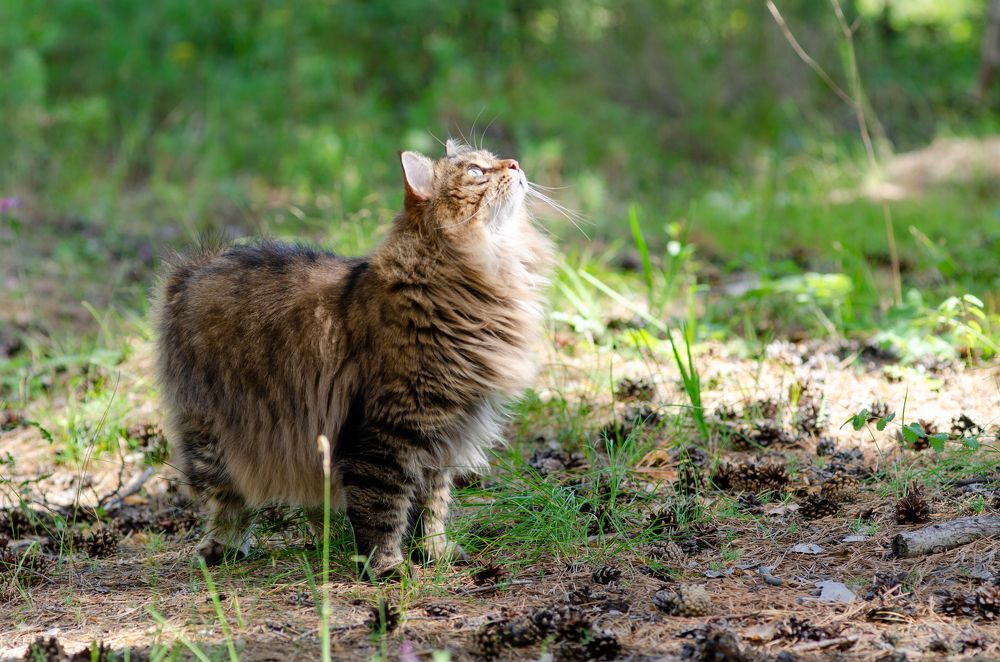 Photograph by Алексей Александрович